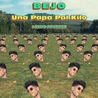 Una papa pal kilo Una papa pal kilo de Bejo