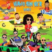 Viajo sin ver Remix Viajo sin ver Remix de Jon Z