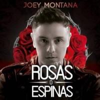 Canción 'Rosas O Espinas' interpretada por Joey Montana Canción 'Rosas O Espinas' interpretada por Joey Montana