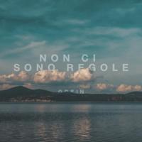 Canción 'Non Ci Sono Regole' interpretada por Grein Canción 'Non Ci Sono Regole' interpretada por Grein
