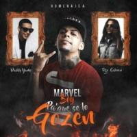 Canción 'Pa' que se lo Gozen' interpretada por Marvel Boy Canción 'Pa' que se lo Gozen' interpretada por Marvel Boy