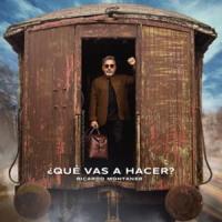 Canción '¿Qué Vas A Hacer?' interpretada por Ricardo Montaner Canción '¿Qué Vas A Hacer?' interpretada por Ricardo Montaner