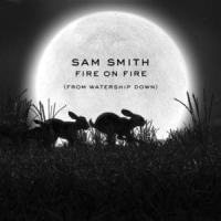 'Fire On Fire' de Sam Smith Fire On Fire - Sam Smith