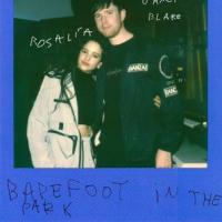 BAREFOOT IN THE PARK, letra y canción de James Blake BAREFOOT IN THE PARK letra JAMES BLAKE
