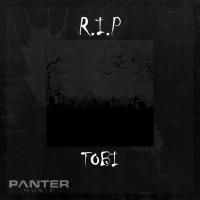 Canción 'R.i.p' interpretada por TOBI Canción 'R.i.p' interpretada por TOBI