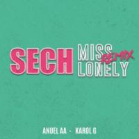 Canción 'Miss Lonely Remix 2' interpretada por Sech Canción 'Miss Lonely Remix 2' interpretada por Sech