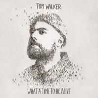 ANGELS, letra y canción de Tom Walker ANGELS letra TOM WALKER