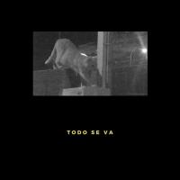 Canción 'Todo Se Va' interpretada por Xavibo Canción 'Todo Se Va' interpretada por Xavibo