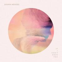 Canción 'If I Can’t Have You' interpretada por Shawn Mendes Canción 'If I Can’t Have You' interpretada por Shawn Mendes