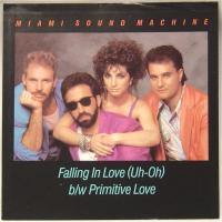 Canción 'Falling in Love' interpretada por Miami Sound Machine Canción 'Falling in Love' interpretada por Miami Sound Machine