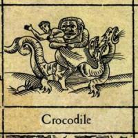 Crocodile Crocodile de XTC