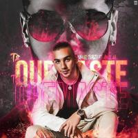 Canción 'Te Quemaste' interpretada por Manuel Turizo Canción 'Te Quemaste' interpretada por Manuel Turizo