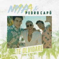 Canción 'Te Olvidaré' interpretada por Pedro Capó Canción 'Te Olvidaré' interpretada por Pedro Capó
