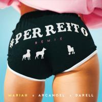 PERREITO REMIX, letra y canción de Mariah PERREITO REMIX letra MARIAH