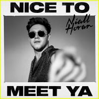 Nice To Meet Ya Nice To Meet Ya de Niall Horan