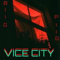 VICE CITY, letra y canción de Biig Piig VICE CITY letra BIIG PIIG