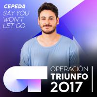 Say You Won't Let Go Say You Won't Let Go de Cepeda
