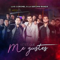 NO ES QUE ME GUSTES, letra y canción de Luis Coronel NO ES QUE ME GUSTES letra LUIS CORONEL