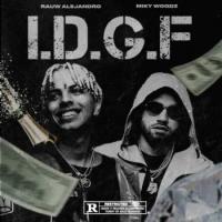 I.D.G.F I.D.G.F de Rauw Alejandro