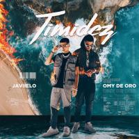 TIMIDEZ, letra y canción de Javiielo TIMIDEZ letra JAVIIELO