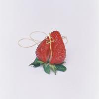 Ni un fruto Ni un fruto de Denise Rosenthal