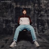 Fearless Fearless de Louis Tomlinson