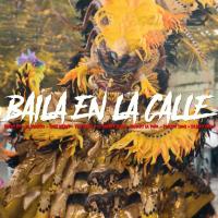 Canción 'Baila En La Calle' interpretada por Rochy RD Canción 'Baila En La Calle' interpretada por Rochy RD