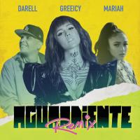 Aguardiente Remix Aguardiente Remix de Greeicy