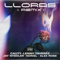 Lloras Remix Lloras Remix de Cauty