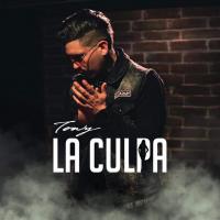 Canción 'La Culpa' interpretada por Towy Canción 'La Culpa' interpretada por Towy