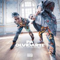 PA’ OLVIDARTE, letra y canción de FMK PA’ OLVIDARTE letra FMK