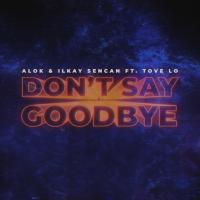DON'T SAY GOODBYE, letra y canción de Alok DON'T SAY GOODBYE letra ALOK
