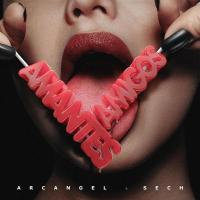AMANTES Y AMIGOS, letra y canción de Arcángel AMANTES Y AMIGOS letra ARCÁNGEL