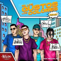 PA LOS GUSTOS LOS COLORES REMIX, letra y canción de Javiielo PA LOS GUSTOS LOS COLORES REMIX letra JAVIIELO