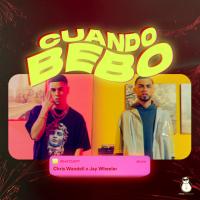 'Cuando Bebo' de Chris Wandell Cuando Bebo - Chris Wandell