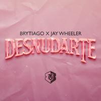 'Desnudarte' de Brytiago Desnudarte - Brytiago