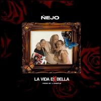 'La Vida Es Bella' de Ñejo La Vida Es Bella - Ñejo
