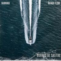 'Burros De Salitre' de Farruko Burros De Salitre - Farruko