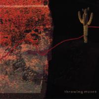 DIZZY, letra y canción de Throwing Muses DIZZY letra THROWING MUSES