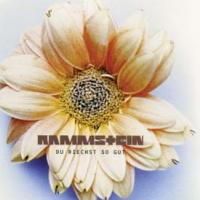 'Du Riechst So Gut' de Rammstein Du Riechst So Gut - Rammstein