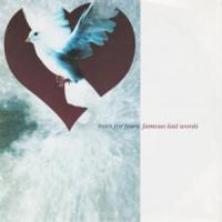 Canción 'Famous Last Words' interpretada por Tears For Fears Canción 'Famous Last Words' interpretada por Tears For Fears