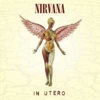 Canción 'Gallons Of Rubbing Alcohol Flow Through The Strip' interpretada por Nirvana Canción 'Gallons Of Rubbing Alcohol Flow Through The Strip' interpretada por Nirvana