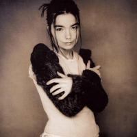 Human Behaviour Human Behaviour de Björk