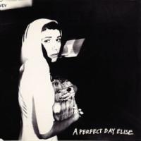 Canción 'A Perfect Day, Elise' interpretada por PJ Harvey Canción 'A Perfect Day, Elise' interpretada por PJ Harvey
