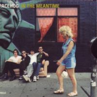 Canción 'In The Meantime' interpretada por Spacehog Canción 'In The Meantime' interpretada por Spacehog
