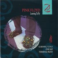 'Learning To Fly' de Pink Floyd Learning To Fly - Pink Floyd