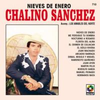 Canción 'Nieves De Enero' interpretada por Chalino Sanchez Canción 'Nieves De Enero' interpretada por Chalino Sanchez