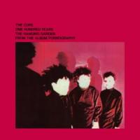 'One Hundred Years' de The Cure One Hundred Years - The Cure