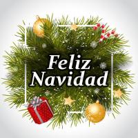 FELIZ NAVIDAD, letra y canción de Villancicos FELIZ NAVIDAD letra VILLANCICOS