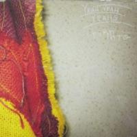 Turn Into Turn Into de Yeah Yeah Yeahs